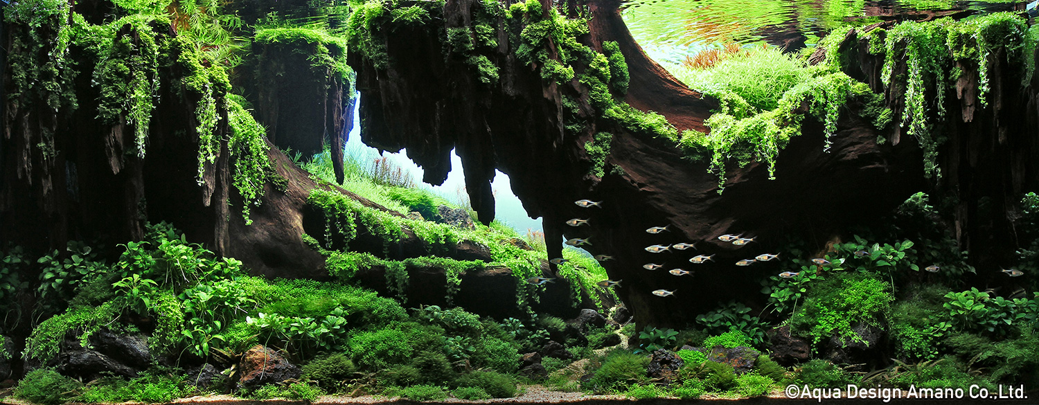 preview?prefix=20202&app_id=W018-0887&17